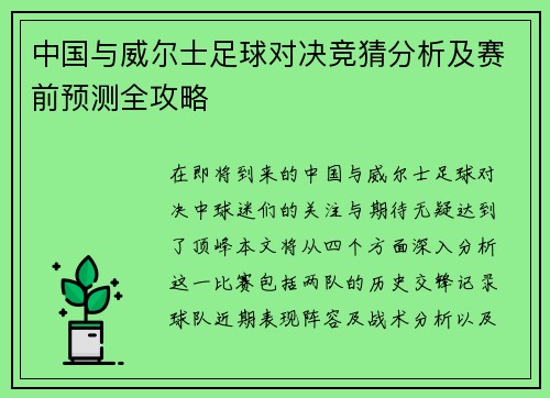 中国与威尔士足球对决竞猜分析及赛前预测全攻略
